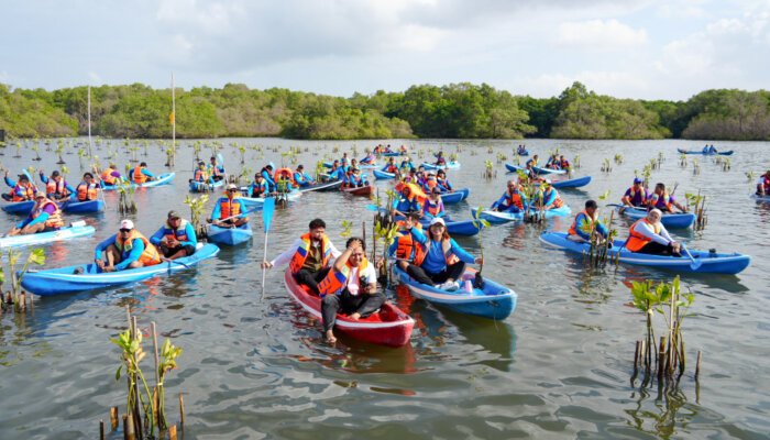 Pemerintah Dorong Mangrove Jadi Sumber Ekonomi Hijau dan Lapangan Kerja Baru