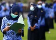 Pemerintah Perkuat Kepastian Status PPPK Terlindungi dari PHK
