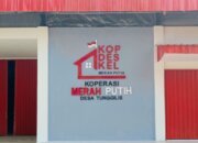 Pemerintah Pastikan Koperasi Merah Putih Dibangun dengan Prinsip Verifikasi dan Kebutuhan Desa