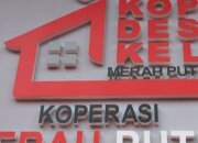 Mengawal Penyempurnaan Koperasi Merah Putih