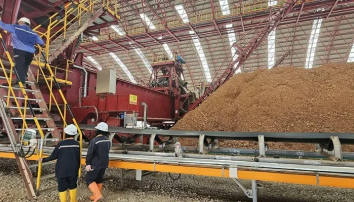 Dari Nikel hingga Bauksit, Hilirisasi Indonesia Masuki Babak Baru