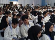 Dari Kampus ke Industri: Program Magang Nasional Membuka Jalan Karier Anak Muda