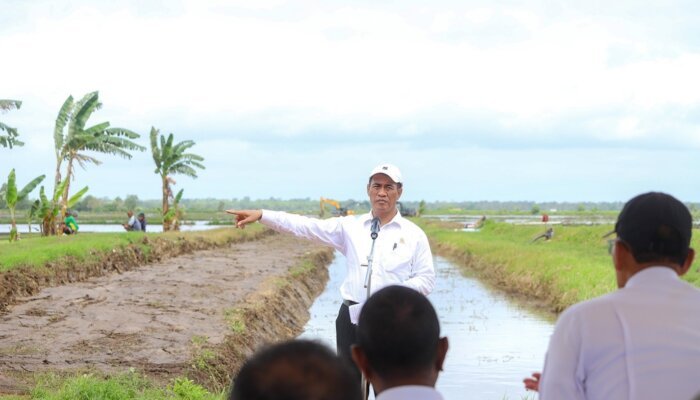 PSN Merauke Perkuat Ketahanan Pangan Nasional dan Percepat Kesejahteraan Masyarakat Papua