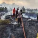 Penegakan Hukum Karhutla Diperkuat, Korporasi Nakal Disanksi Tegas