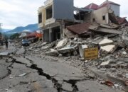 Pemerintah Bergerak Cepat Pulihkan Akses Jalan dan Layanan Dasar di NTT
