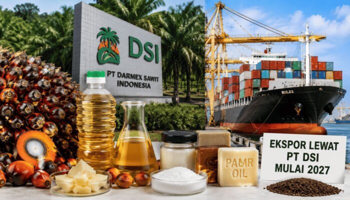 DSI Perkuat Tata Kelola Ekspor Komoditas Strategis Indonesia