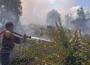 Pemerintah Siapkan Anggaran Tambahan Percepat Penanganan Karhutla