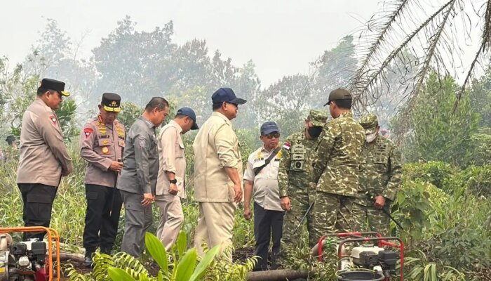 Pemerintah Kaji Sanksi Karhutla agar Masuk Kategori Terorisme Ekologi