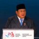 Presiden Prabowo ke Rusia, Dorong Penguatan Kerja Sama Ekonomi, Perdagangan, Investasi, dan Energi