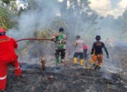 Pemerintah Galang Kekuatan Nasional Atasi Karhutla di Sejumlah Wilayah