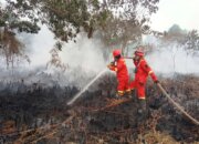 Pemerintah Menindak Perusahaan Penyebab Karhutla: Melindungi Warga, Hutan, dan Lingkungan