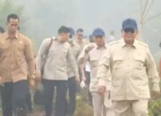  Karhutla Layak Dipandang sebagai Terorisme Ekologi
 