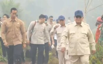  Karhutla Layak Dipandang sebagai Terorisme Ekologi
 