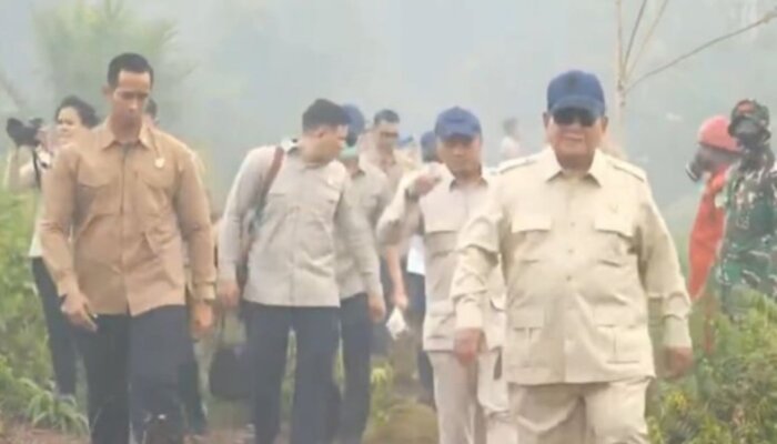  Karhutla Layak Dipandang sebagai Terorisme Ekologi
 