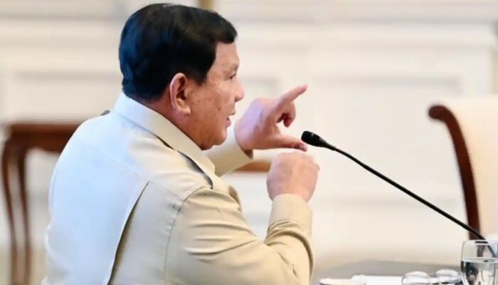 2 Tahun Prabowo-Gibran, SDM Jadi Kunci Indonesia Naik Kelas di Ekonomi Digital