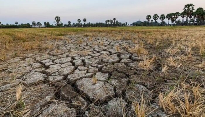 Mitigasi El Nino di Sektor Energi, Bukti Negara Hadir Antisipasi Krisis