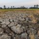 Mitigasi El Nino di Sektor Energi, Bukti Negara Hadir Antisipasi Krisis