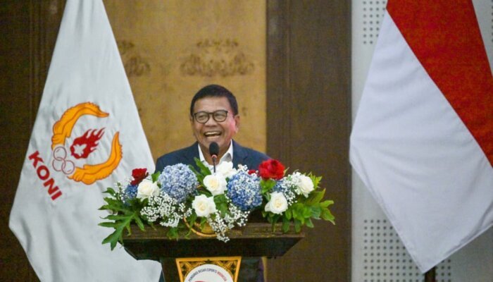 Pimpin PB ESI, Herindra: Indonesia Jangan Hanya Jadi Pasar Gim