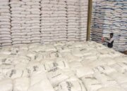 Koperasi Merah Putih Dekatkan Akses Pupuk Subsidi bagi Petani