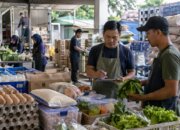MBG Gerakkan Ekonomi Daerah, Puluhan Ribu UMKM Jadi Pemasok Pangan