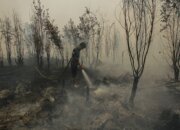 Pengawasan Masuk sampai ke Lahan, Karhutla Berhenti Jadi Kejadian Musiman