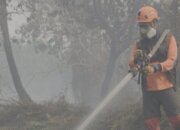 Pemerintah Percepat Penanganan Karhutla melalui Pemadaman Terpadu dan Inovasi Teknologi