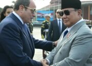 Ekonomi dan Pertahanan Indonesia-Mesir Menjadi Ruang Baru Diplomasi Presiden Prabowo