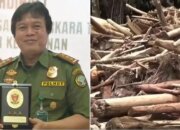 Pemerintah Perkuat Penegakan Hukum terhadap Korporasi Terkait Karhutla