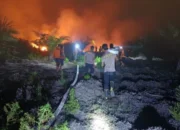 Pemerintah Perkuat Peralatan, Dorong Penanganan Karhutla Lebih Cepat