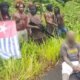 Jangan Biarkan Manuver Politik Separatis Mengaburkan Percepatan Pembangunan Papua