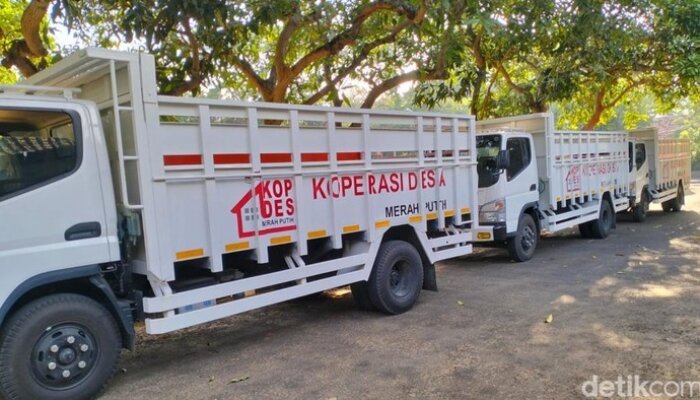 Koperasi Merah Putih Membuka Jalan Pemerataan Barang Subsidi hingga Desa