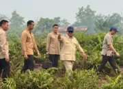 Presiden Prabowo: Listrik Lebih Tanggap, Stabil, Kuat dan Andal