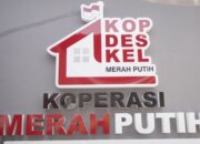 Koperasi Merah Putih Membuka Jalan Pupuk Subsidi Lebih Mudah Diakses